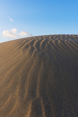 DPI12284904 Punta Paloma Sand Dunes - Tarifa Costa De La Luz Cadiz Andalusia Spain Poster Print by Ben Welsh, 12 x 19