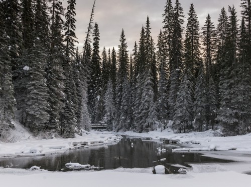 Frozen Emerald Lake in Yoho National Park - British Columbia Canada Poster Print by Keith Levit, 36 x 26 - Large