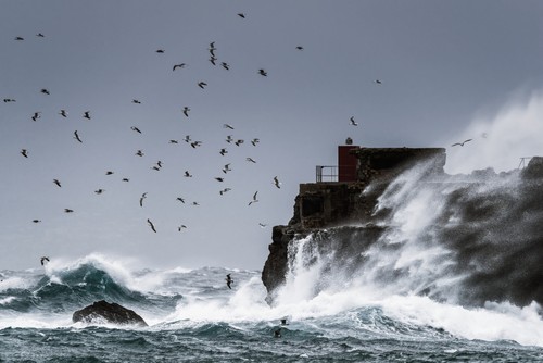 Waves Crashing Against The Rugged Rock Coastline As Birds Fly Overhead Against A Poster Print by Ben Welsh - 19 x 12