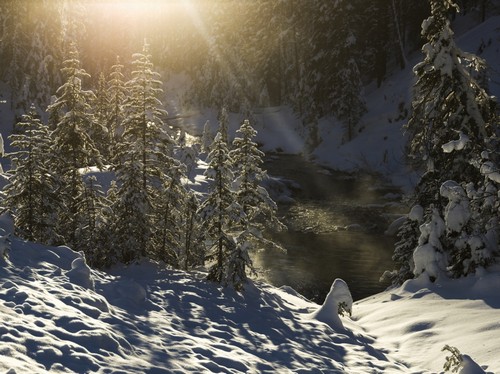 DPI12285004LARGE Snow Covered Trees Yoho National Park - British Columbia Canada Poster Print by Keith Levit, 38 x 28 - Large