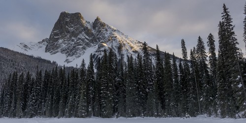 Frozen Emerald Lake in Yoho National Park - British Columbia Canada Poster Print by Keith Levit - 21 x 10
