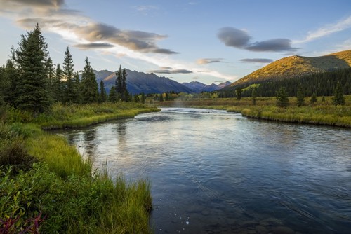 The Lapie River Flows Through The Wilderness Along The South Canol Road - Yukon Canada Poster Print by Robert Postma, 38 x 24 - Large