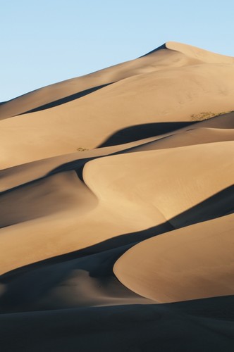 DPI12291322 Sand Dunes in Morning Light Great Sand Dunes National Park - Colorado United States of America Poster Print by Carl Johnson, 12 x 19 -  Posterazzi