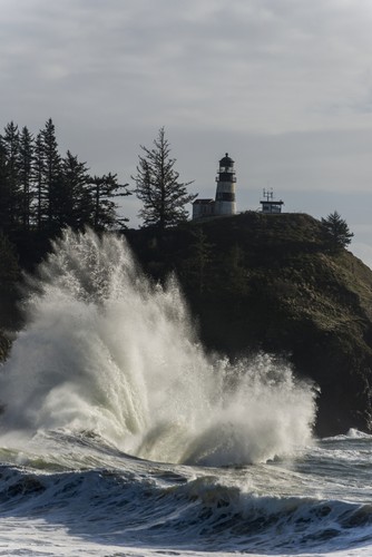 DPI12290364 Surf Breaks At Cape Disappointment Lighthouse - Ilwaco Washington United States of America Poster Print by Robert L.Potts, 12 x 19