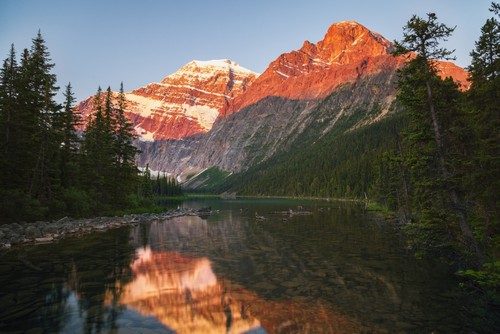 DPI12291377LARGE Mount Edith Cavelle in Jasper National Park - Alberta Canada Poster Print by Justin Sinclair, 38 x 24 - Large