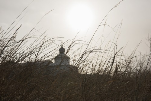 View of The St. Nicholas Russian Orthodox Church Through Tall Grasses in Igiugig Alaska Poster Print by Carl Johnson, 38 x 24 - Large