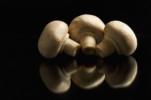 Three Button Mushrooms Backlit & Reflecting On Black Foreground & Background - Calgary Alberta Canada Poster Print by Michael Interisano - 19 x 12