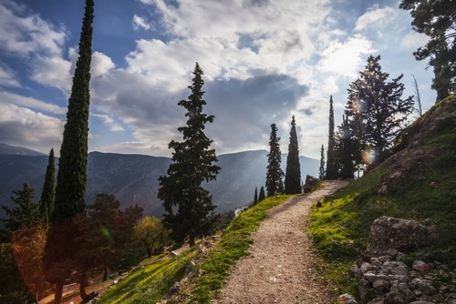 DPI12286647LARGE Walking Path On Mount Parnassus - Delphi Greece Poster Print by Reynold Mainse, 38 x 24 - Large