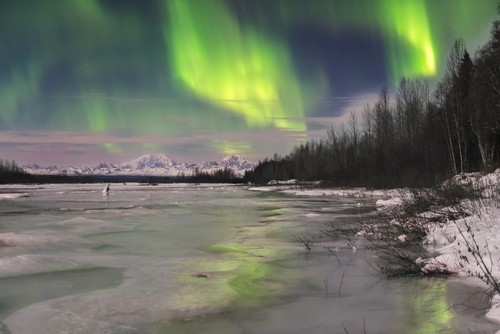Aurora Borealis Over Frozen Susitna River with Mt. Foraker & Hunter in The Background Poster Print by Carl Johnson, 38 x 24 - Large