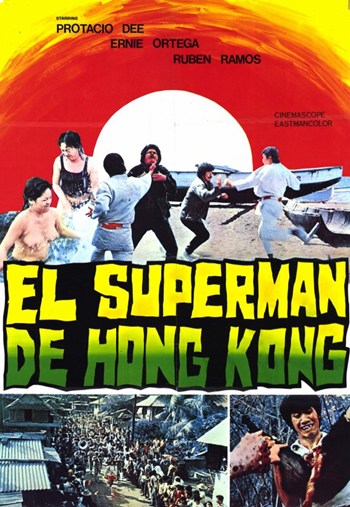 Bruce Hong Kong Master Movie Poster  11 x 17 in