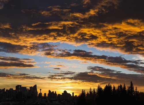 DPI12290353 Dramatic Colorful Clouds At Sunrise with Cityscape & Tree Silhouette - Calgary Alberta Canada Poster Print by Michael Interisano, 18 x 13