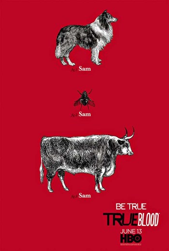 True Blood Movie Poster - 11 x 17 in.