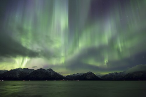 Aurora Borealis Dancing Above The Chugach Mountains & Turnagain Arm Kenai Peninsula Southcentral Alaska Poster Print by Lucas Payne, 19 x 12