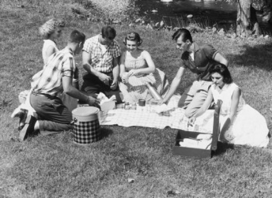 High Angle View of Three Young Couples Having a Picnic Poster Print - 18 x 24 in.