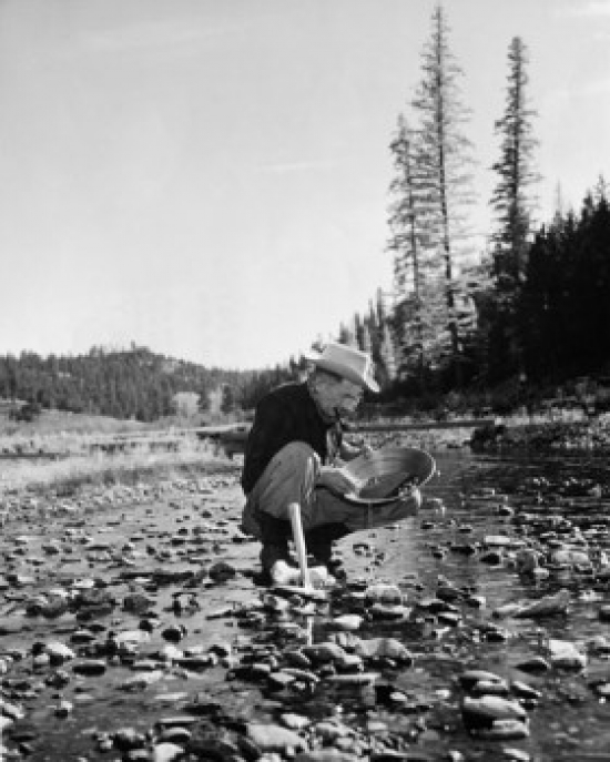 Miner Panning for Gold Poster Print - 18 x 24 in.