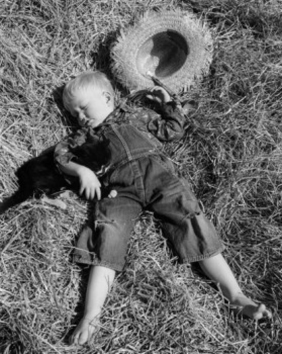 Boy Sleeping with Cat on Hay Poster Print - 18 x 24 in.