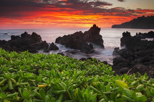 Sunrise Over The Ocean & Coastline - Laupahoehoe Island of Hawaii United States of America Poster Print by Carl Johnson - 19 x 12