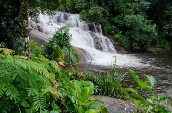 Rainforest Waterfall Serra Da Bocaina Np Parati Brazil Horizontal Print by Cindy Miller Hopkins