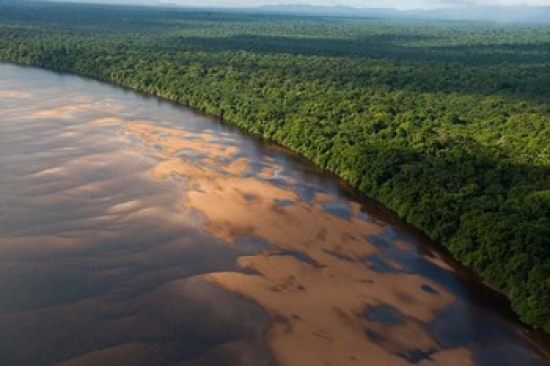 PDDSA11POX0154 Essequibo River Between the Orinoco & Amazon Iwokrama Reserve Guyana Print by Pete Oxford