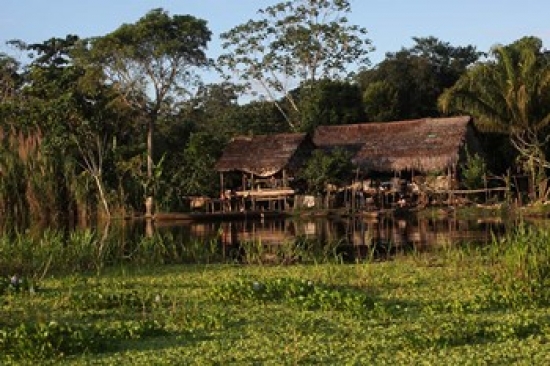PDDSA17DBK0000 Scenes Along the Amazon River in Peru Poster Print by Dennis Brack - 29 x 19 in.