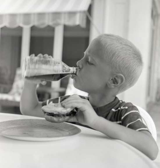 SAL255421069 Boy Drinking Juice From Bottle While Holding Sandwich Poster Print - 18 x 24 in.