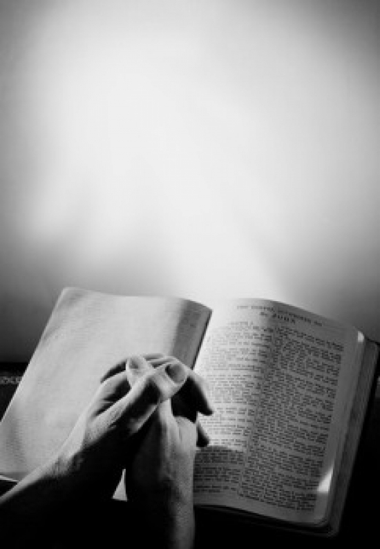 Mans Hands Clasped by Bible Poster Print - 18 x 24 in.
