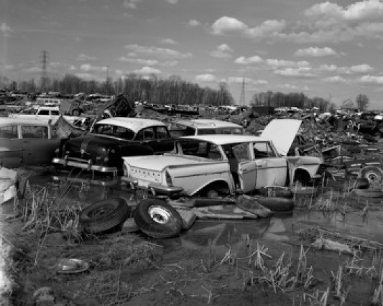 Junk Cars Poster Print - 18 x 24 in.