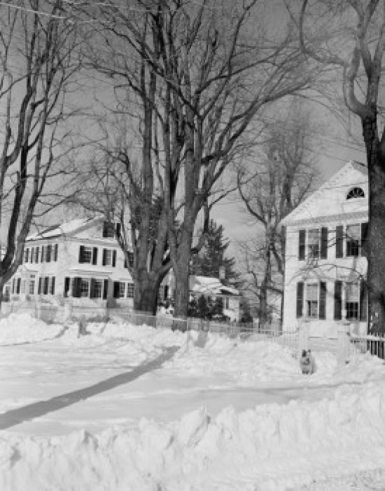 Winter Town with Bare Trees & Snow Poster Print - 18 x 24 in.