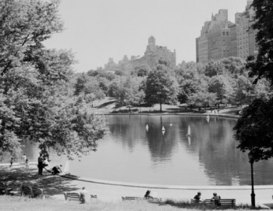 USA New York State New York City Central Park Model Sail Boosting Poster Print - 18 x 24 in.