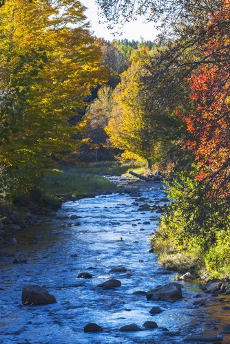 DPI12286511LARGE Small River with Rocks in Autumn - Ways Mills Quebec Canada Poster Print by David Chapman, 24 x 38 - Large