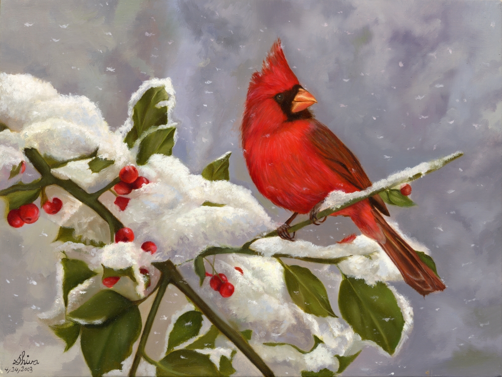 Cardinal Poster Print by Shiva - 22 x 16 in.