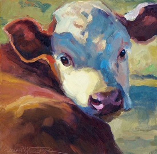 Hereford Honey Poster Print by Sarah Webber - 10 x 10 in.