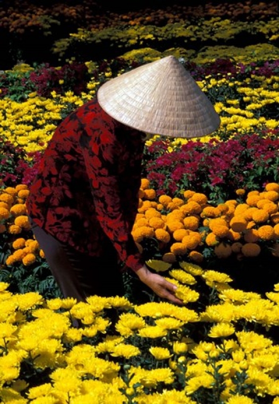 PDDAS38BBA0054 Gardens with Woman in Straw Hat Mekong Delta Vietnam Poster Print by Bill Bachmann - 18 x 26 in -  Posterazzi