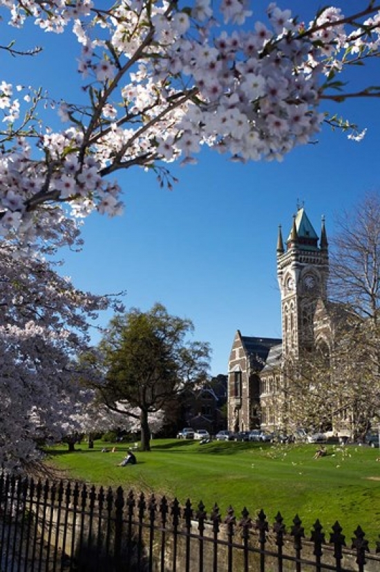 Spring Clock Tower Dunedin South Island New Zealand Vertical Print by David Wall