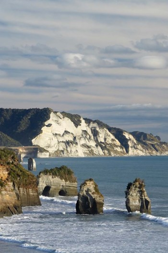 Three Sisters White Cliffs North Island New Zealand Poster Print by David Wall - 23 x 34 in.