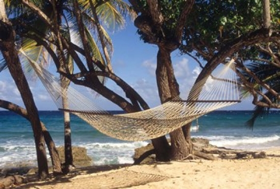 Hammock Tied Between Trees North Shore Beach St Croix Us Virgin Islands Print by Alison Jones