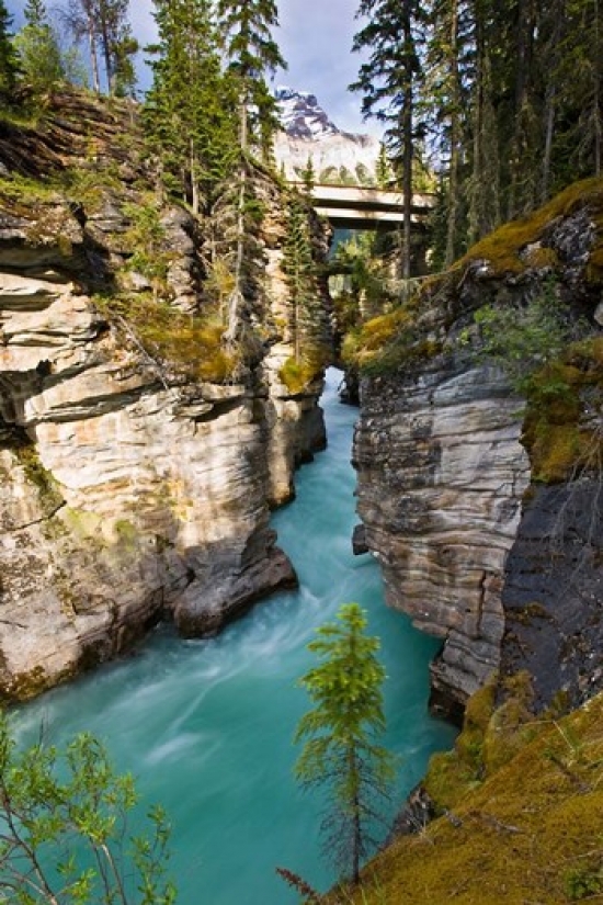 Athabasca Falls Jasper National Park Alberta Canada Poster Print by Larry Ditto - 18 x 26 in.