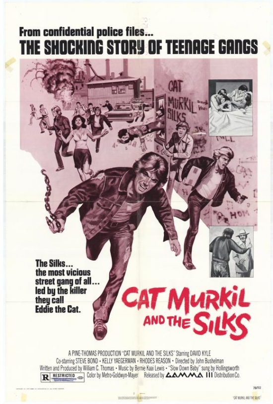 MOVGH9707 Cat Murkil & the Silks Movie Poster - 27 x 40 in.