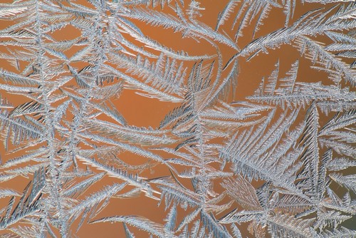 Ice Crystals On A Window - Whitehorse Yukon Canada Poster Print by Robert Postma - 38 x 24 - Large