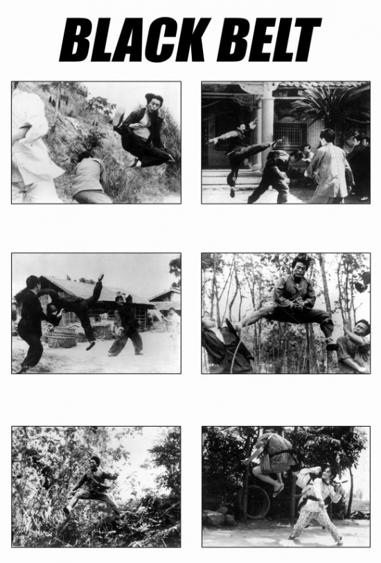 Black Belt Movie Poster - 27 x 40 in.