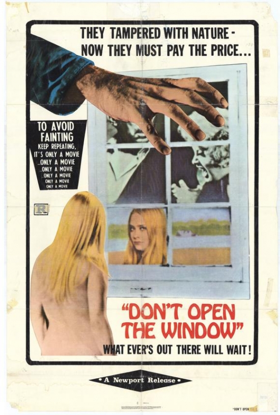 Dont Open the Window Movie Poster - 27 x 40 in.