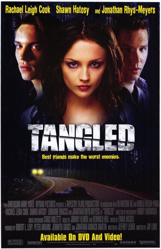 Tangled Movie Poster - 27 x 40 in.