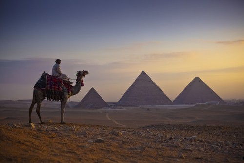 A Lone Camel & Rider Stand in Front of The Setting Sun with The Great Pyramids Behind Them - Giza Egypt Poster Print by Matt Brandon, 19 x 12