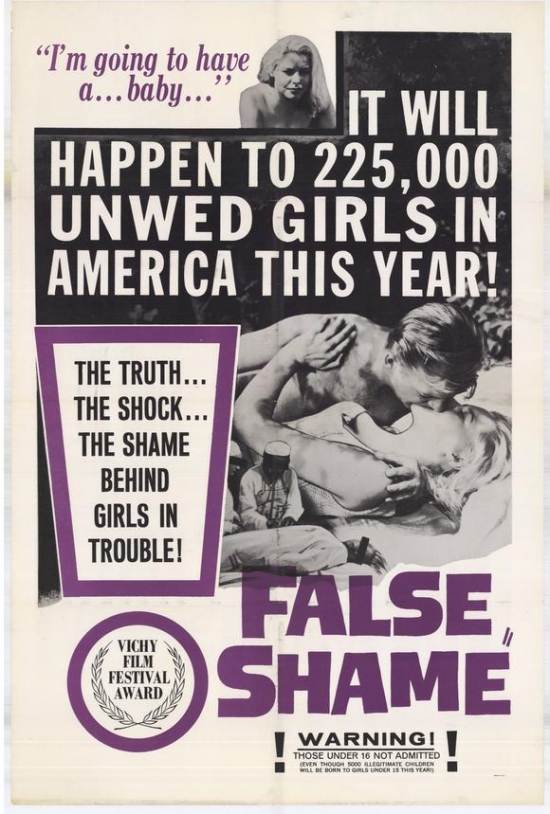 False Shame Movie Poster - 27 x 40 in.