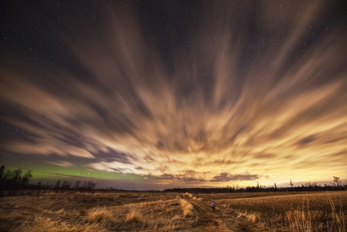 DPI12301410 Night Sky with Aurora Borealis - Thunder Bay Ontario Canada Poster Print by Susan Dykstra, 18 x 12