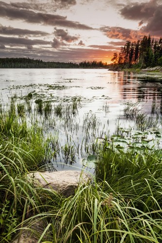 DPI12301414LARGE Sunset Over A Pond - Thunder Bay Ontario Canada Poster Print by Susan Dykstra, 24 x 38 - Large