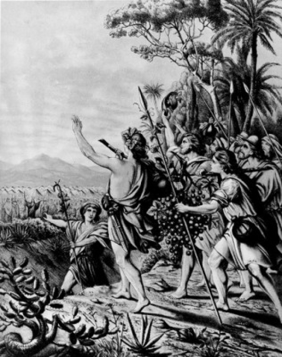 The Return of the Spies by Wilhelm Ebbinghaus From the 1908 Bible & Its Story Taught by One Thousand Picture Lessons 1