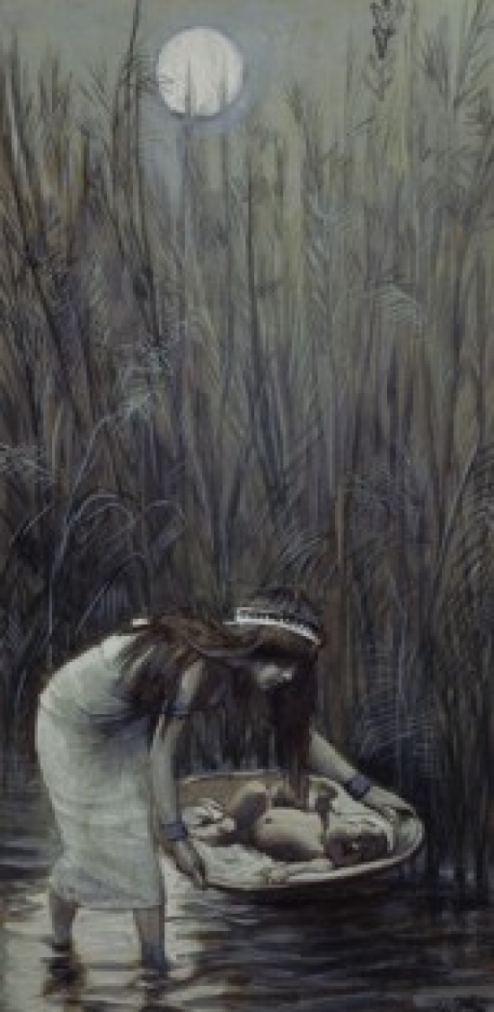 Moses Laid Amid the Flags James Tissot 1836-1902 French Jewish Museum New York City Poster Print - 18 x 24 in.
