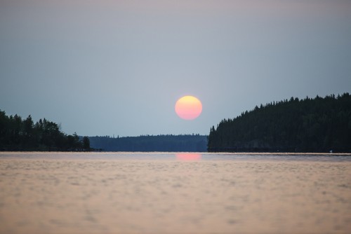 A Red Sun Setting Over The Forest with A Lake Reflecting The Pink Glow - Manitoba Canada Poster Print by Thomas Fricke - 19 x 12