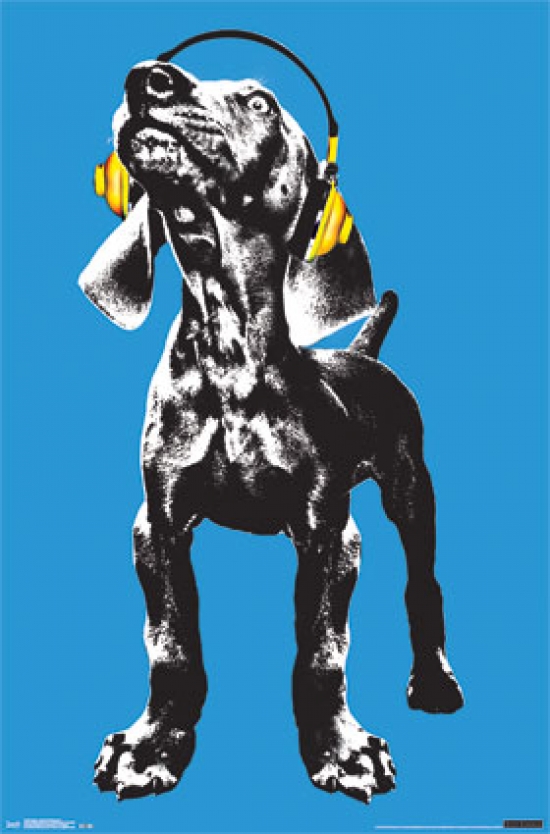 Puppy - Modern Weimaraner Poster Print - 24 x 36 in.